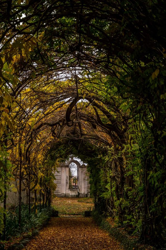 Storvandre: Villa Pisani