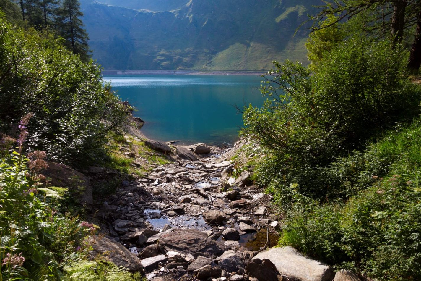 Storvandre: Ritom Lake