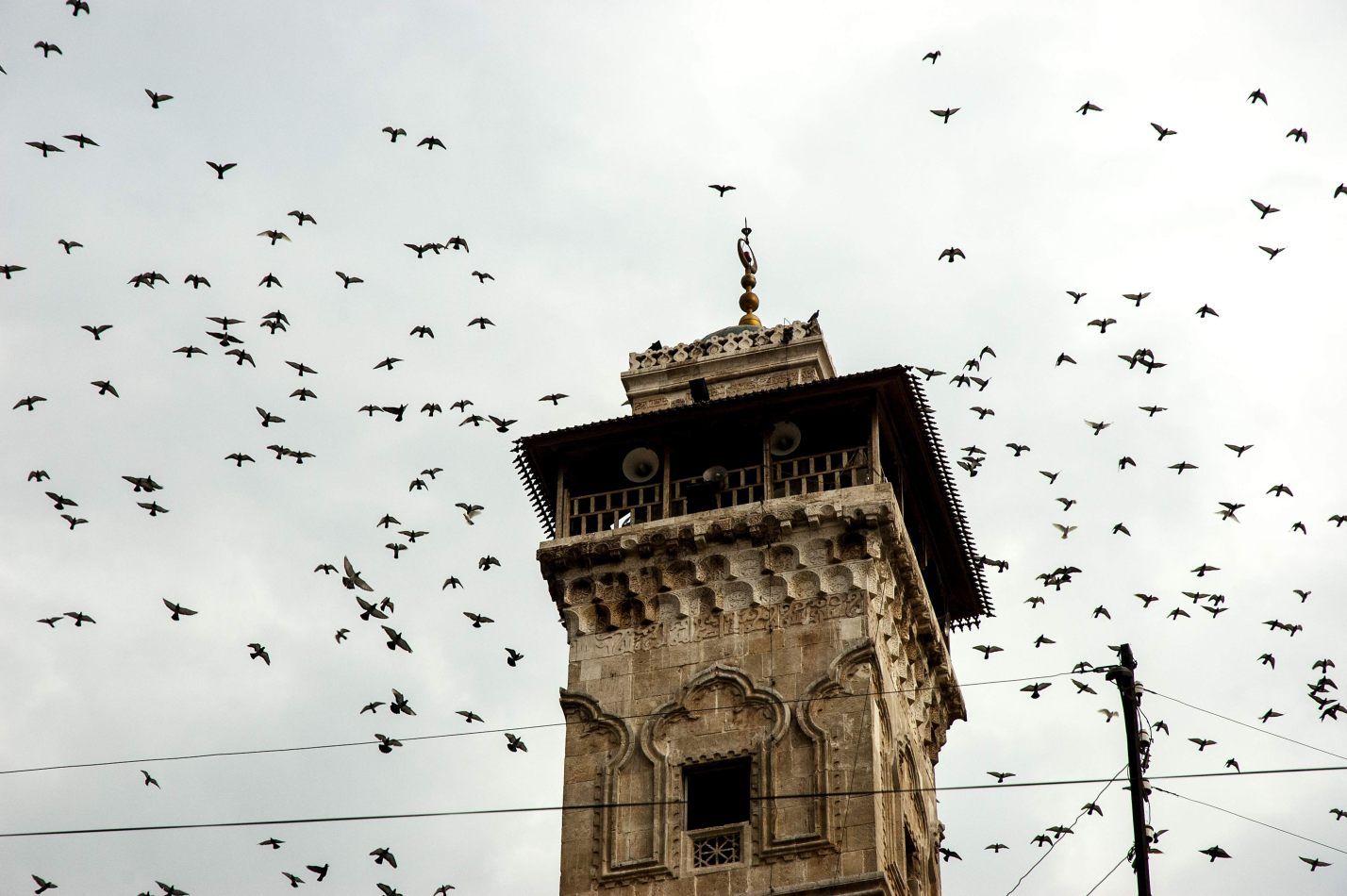 Herbst's portfolio: Syria