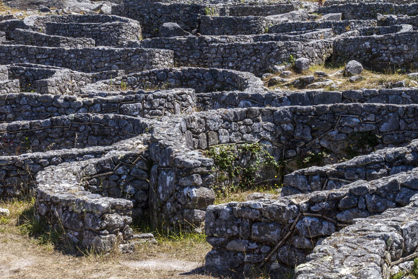 Storvandre: Santa Trega