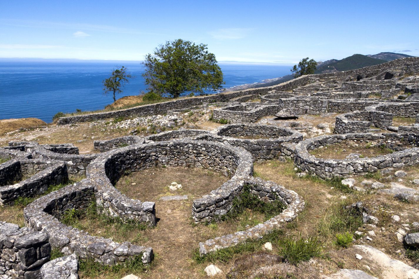 Storvandre: Santa Trega