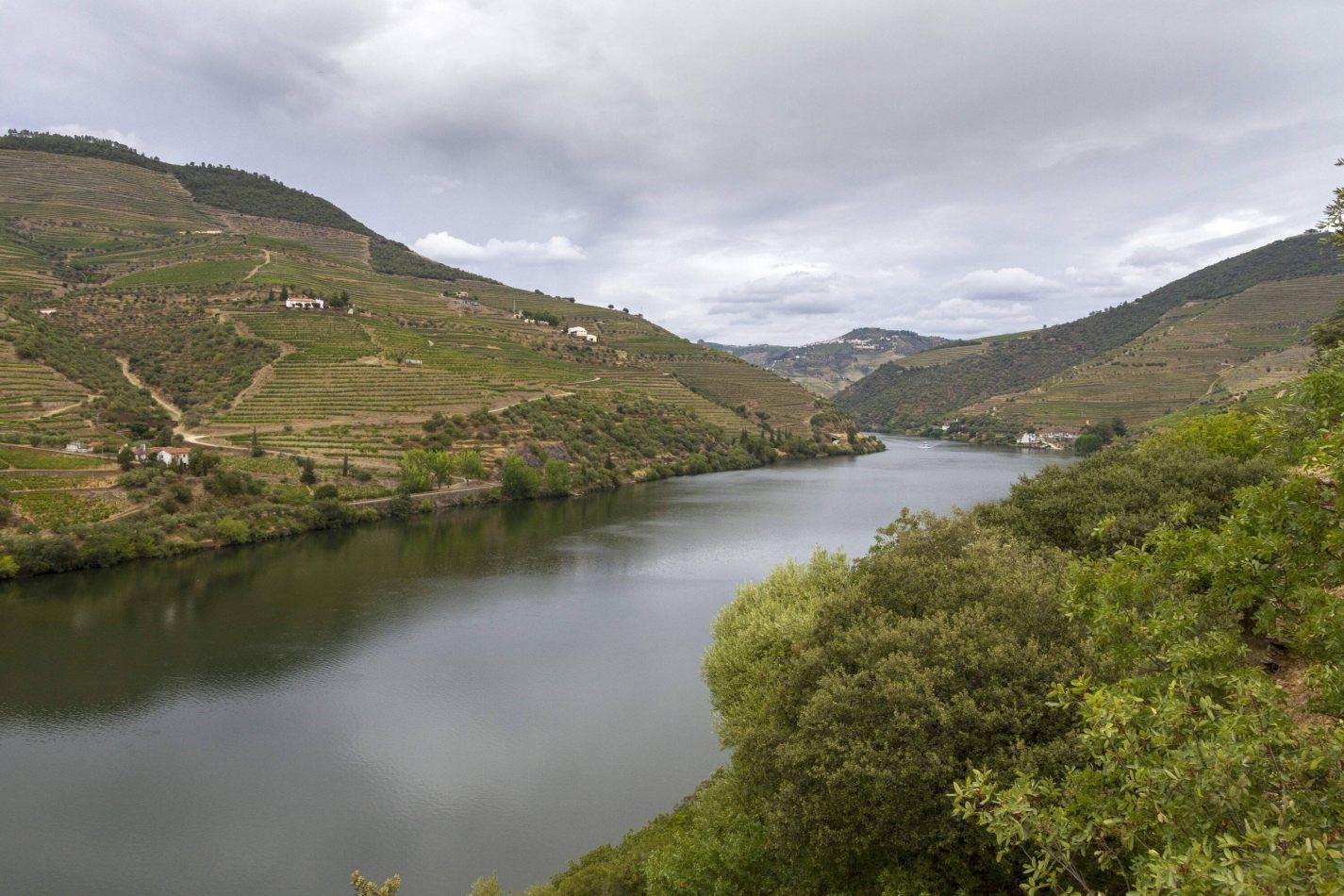 Storvandre: Douro Valley
