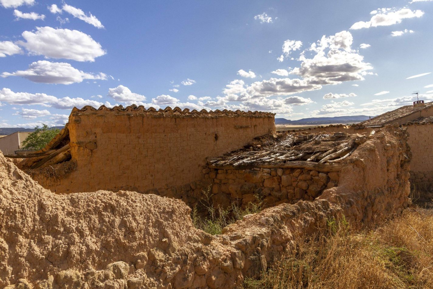 Storvandre: Montuenga