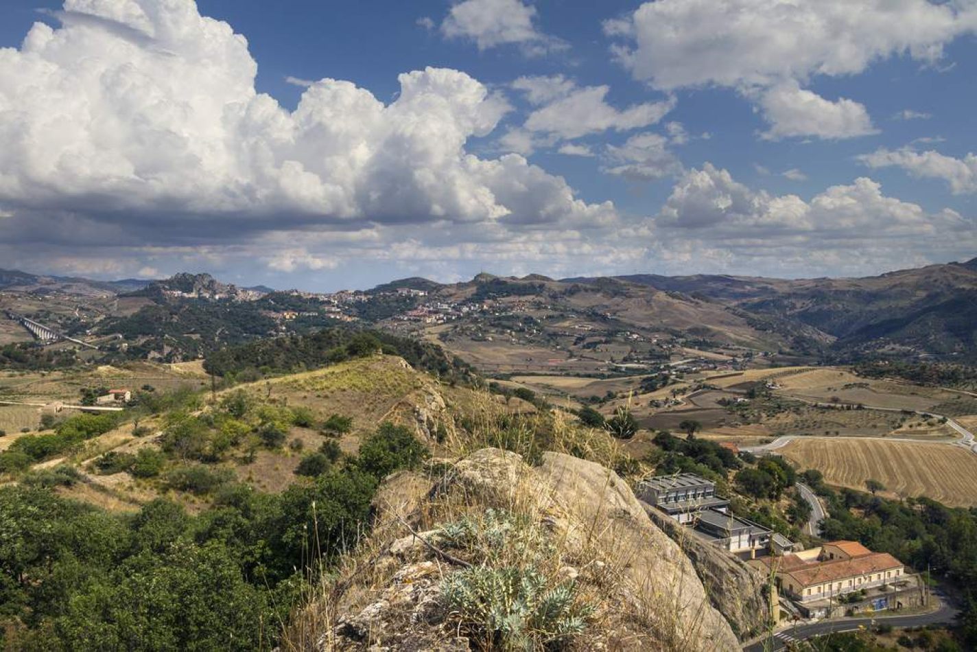 Storvandre: Sperlinga