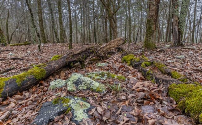 Hot Springs National Park