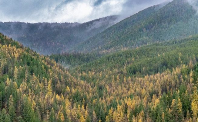 Whitefish Museum of the Plains Indian