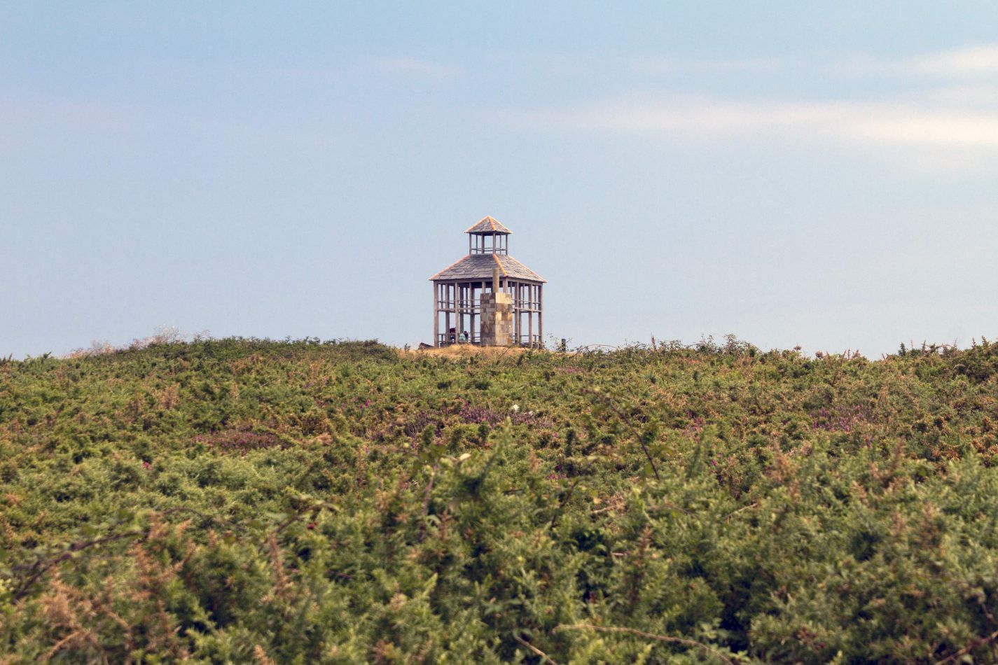 Storvandre: Illa Pancha