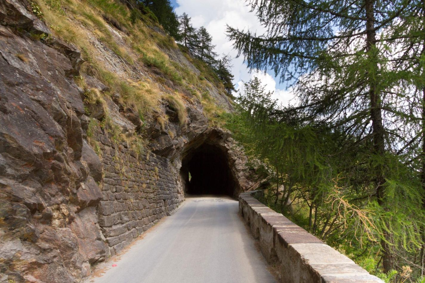 Storvandre: Ritom Lake