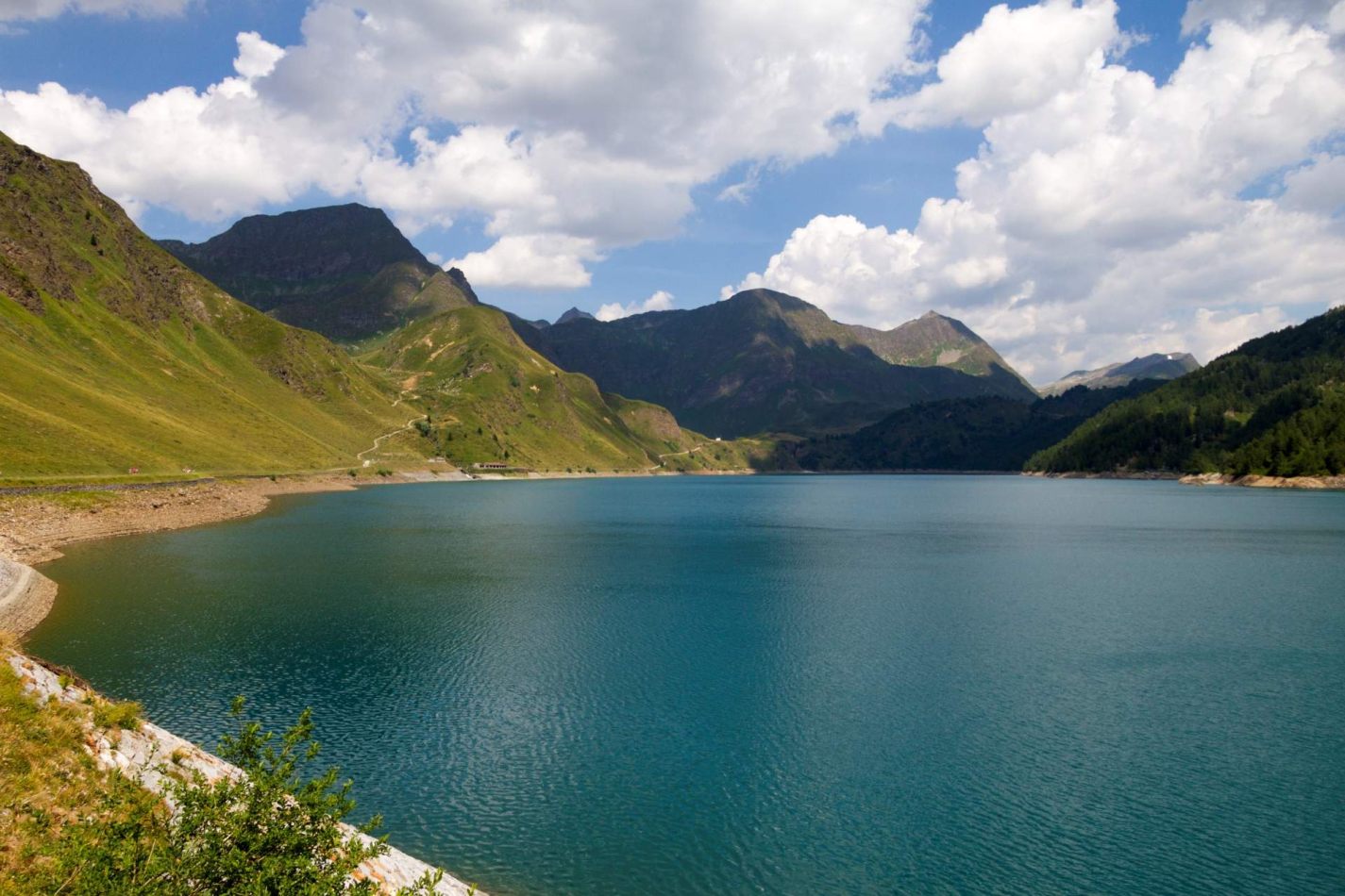 Storvandre: Ritom Lake