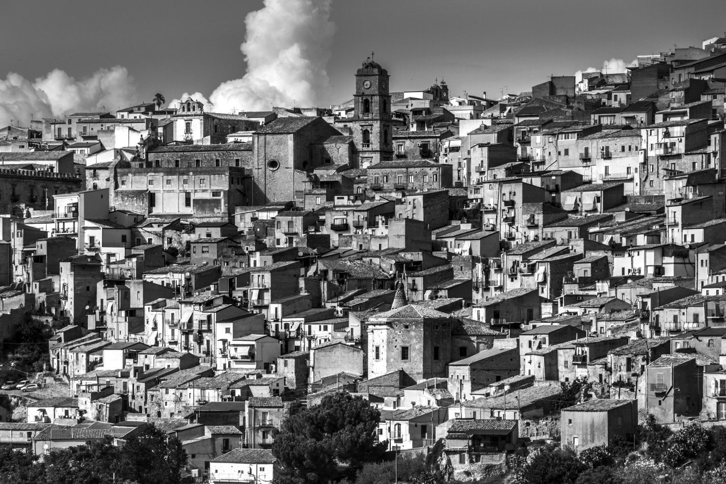 Storvandre: Leonforte