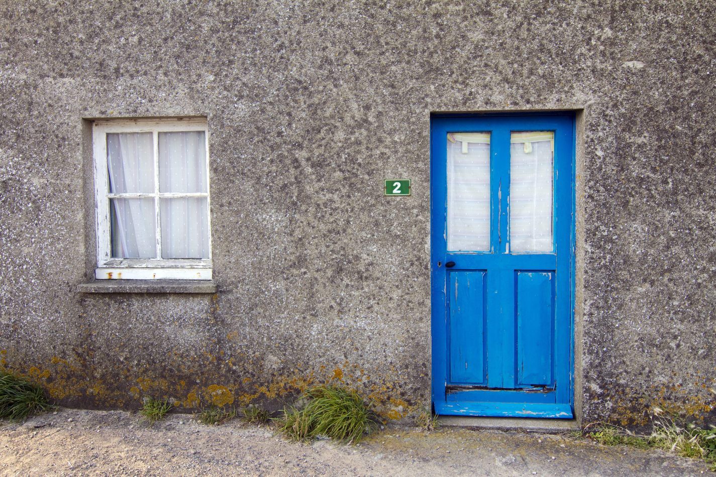 Storvandre: Cap de la Hague