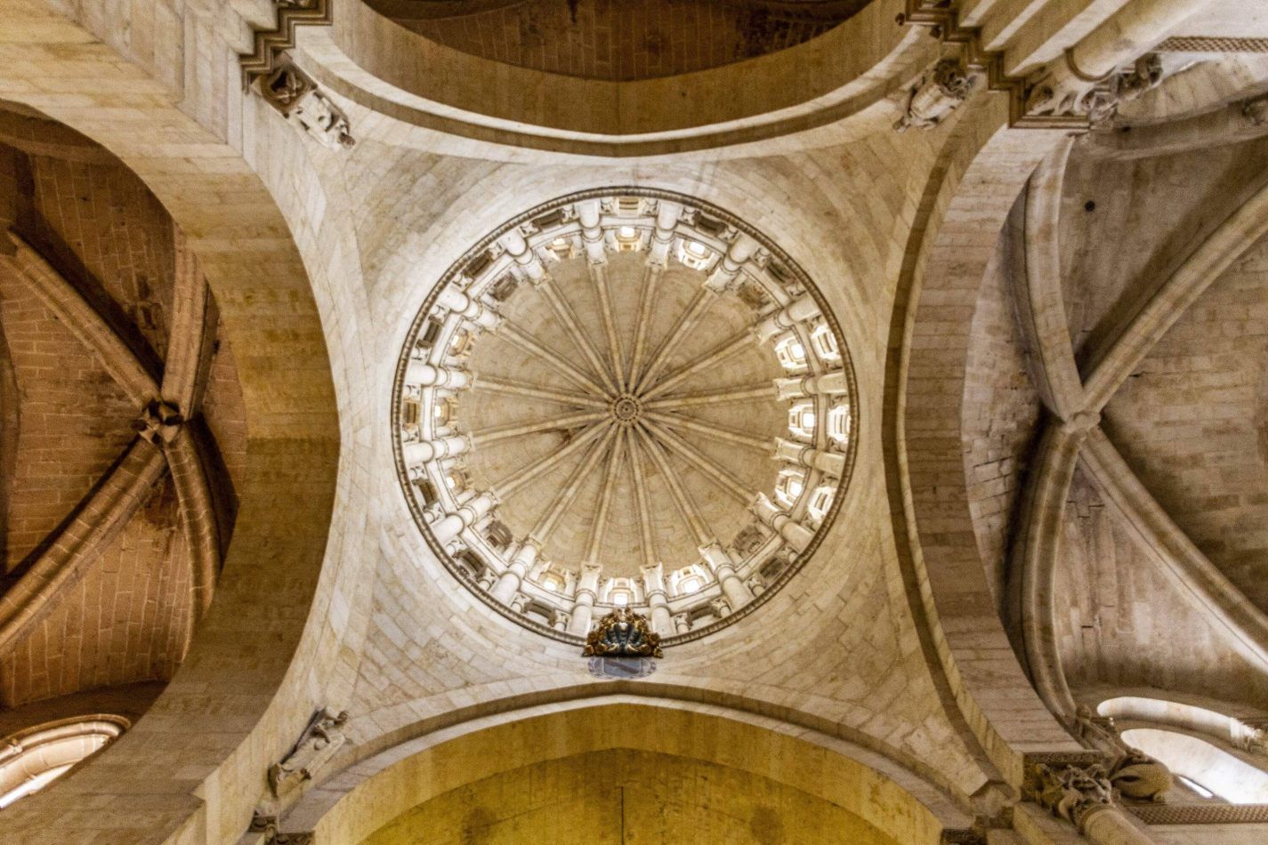 Storvandre: Salamanca