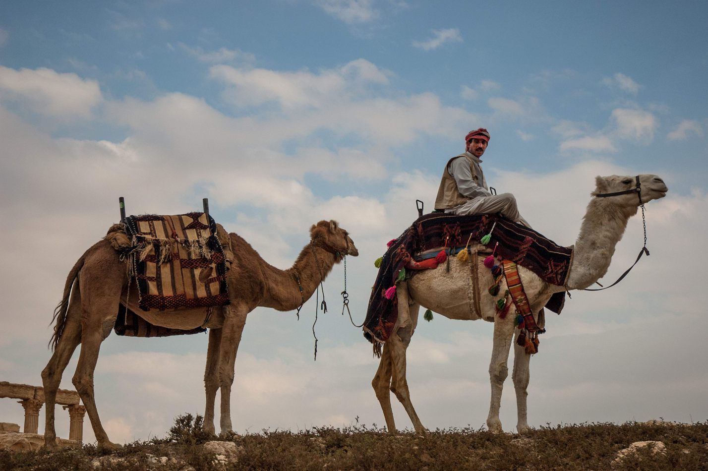 Herbst's portfolio: Syria