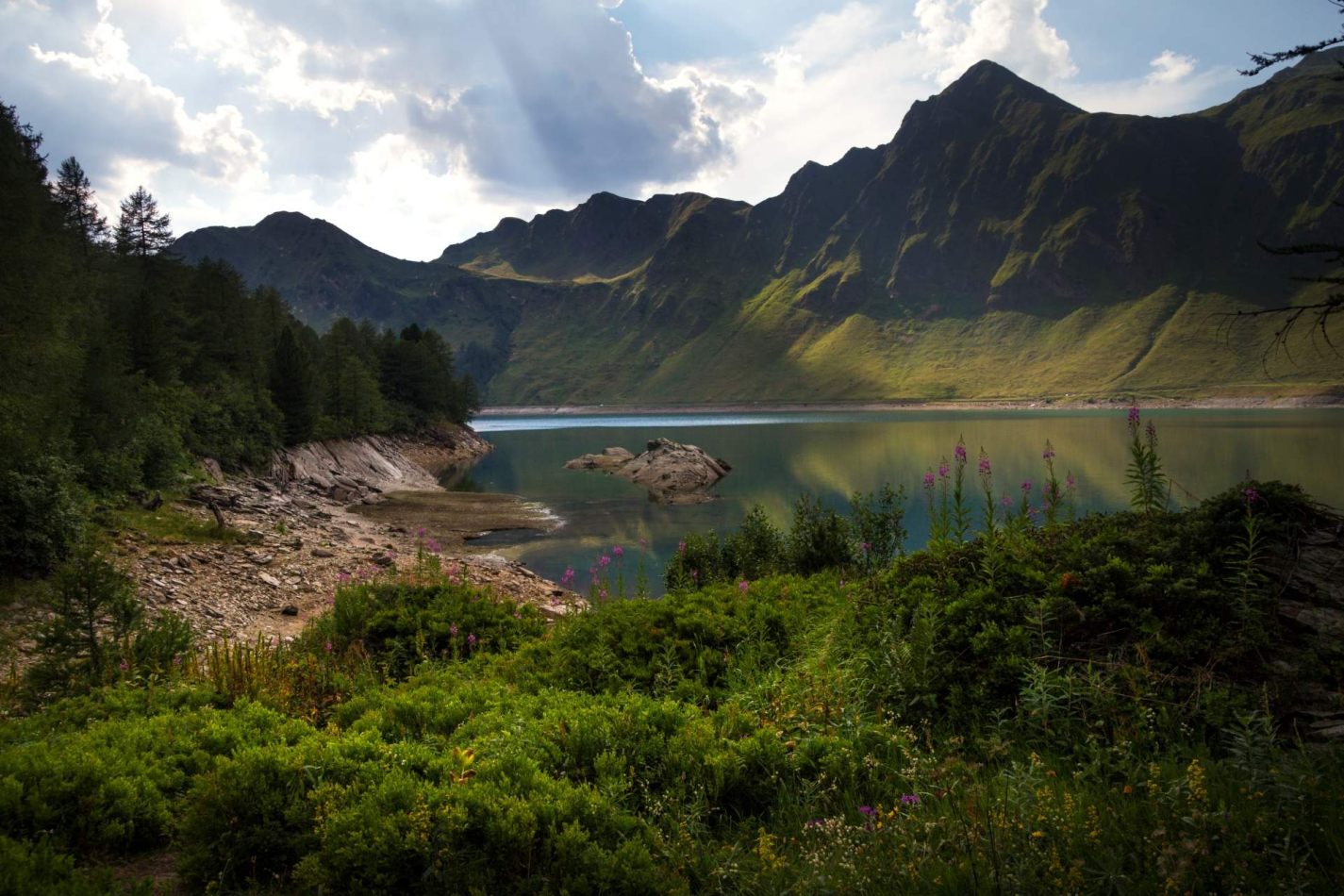 Storvandre: Ritom Lake