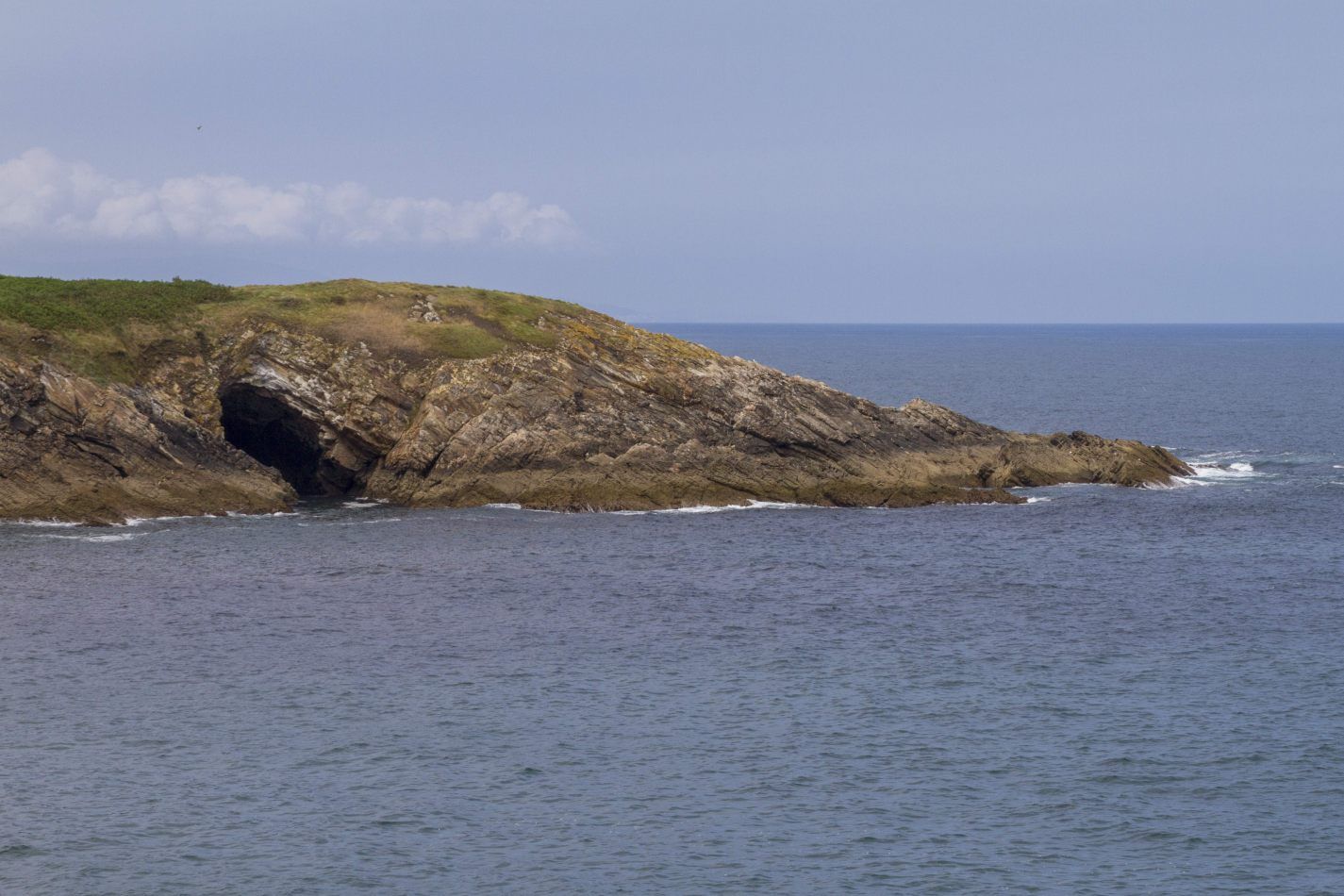 Storvandre: Illa Pancha