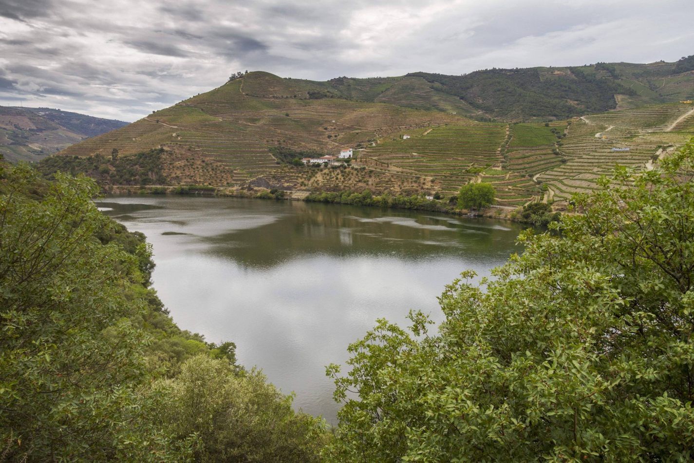 Storvandre: Douro Valley
