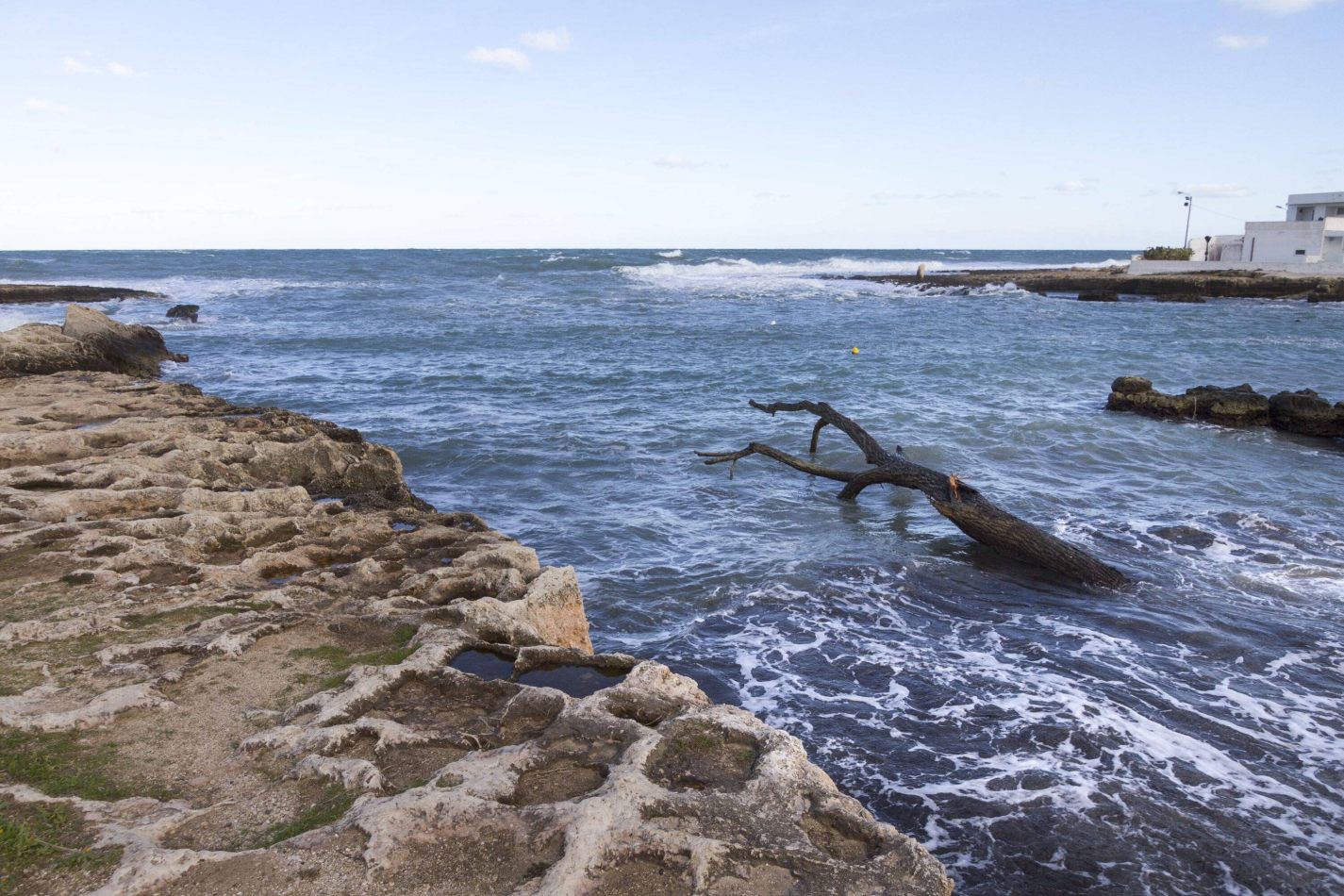 Storvandre: Polignano