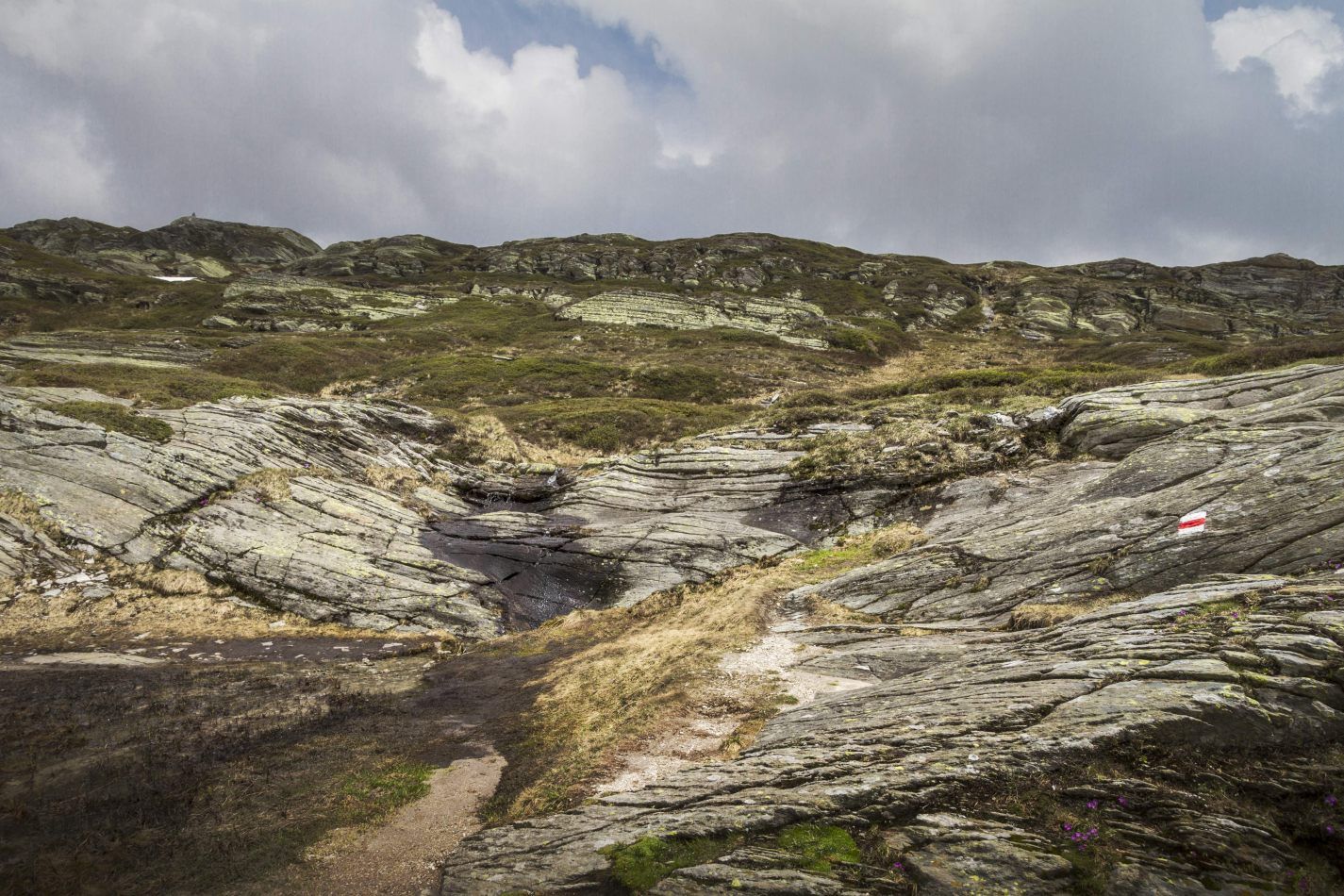 Storvandre: San Bernardino