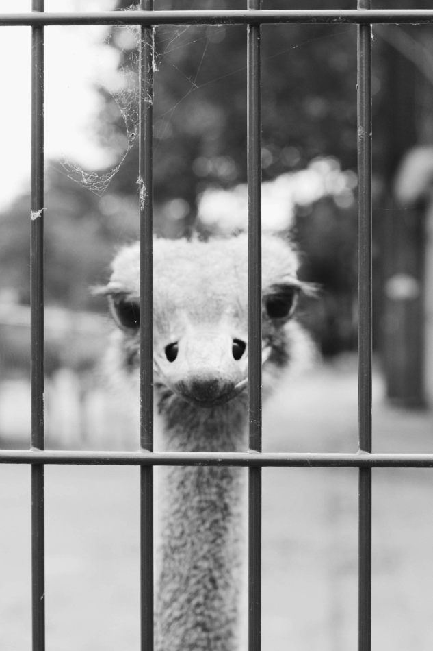 kctamvakisphotography: AMSTERDAM