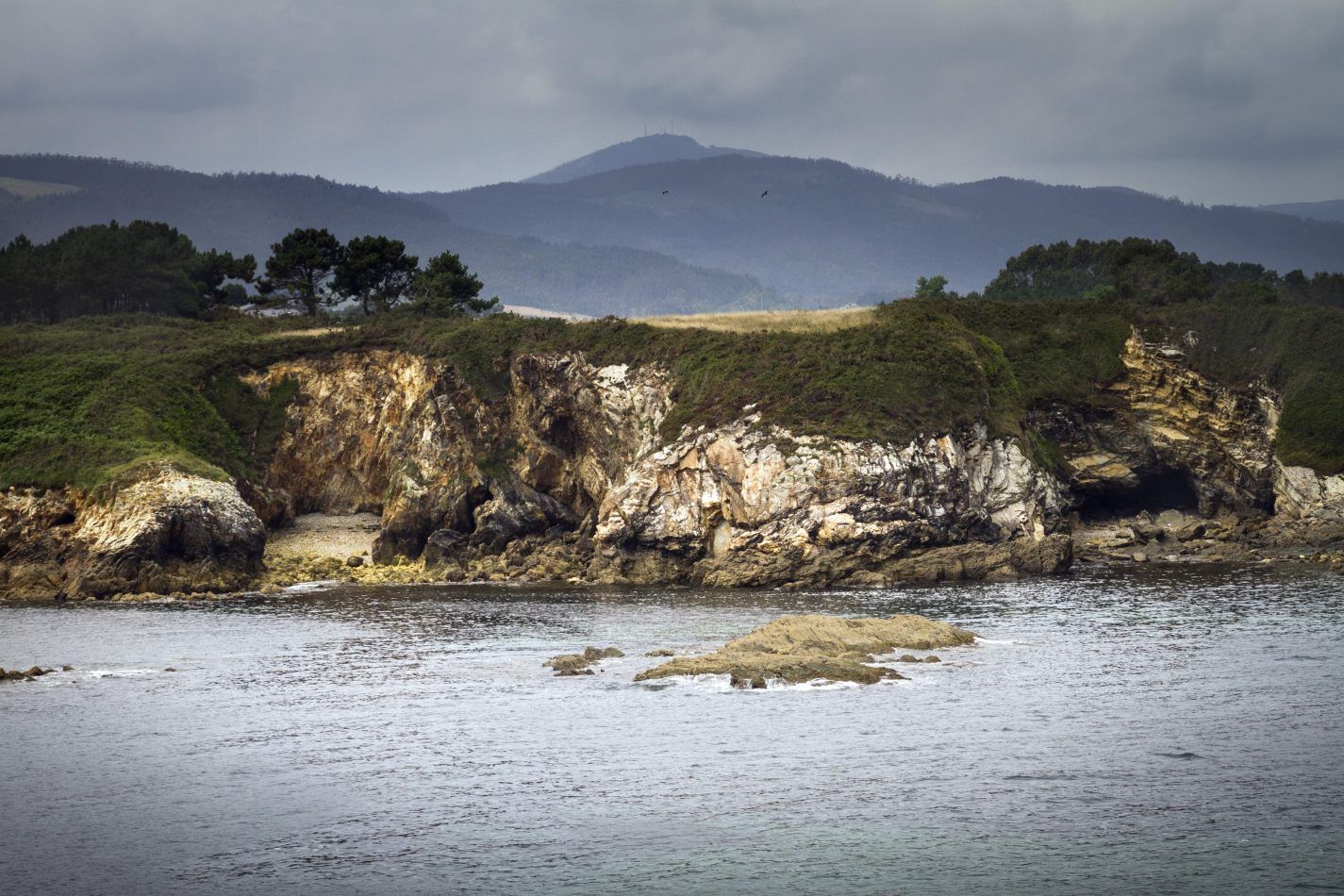 Storvandre: Illa Pancha