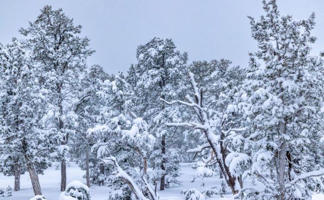 Grand Canyon to Sedona Did I make it out of the Grand Canyon