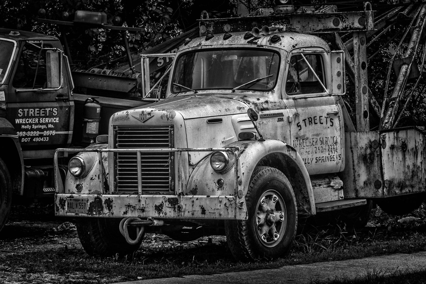 Storvandre: Mississippi