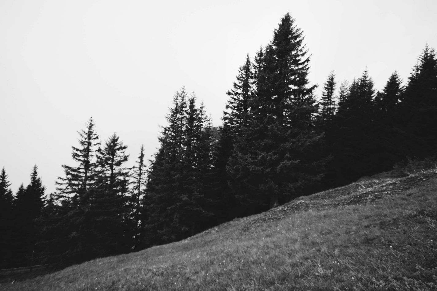 kctamvakisphotography: SWITZERLAND