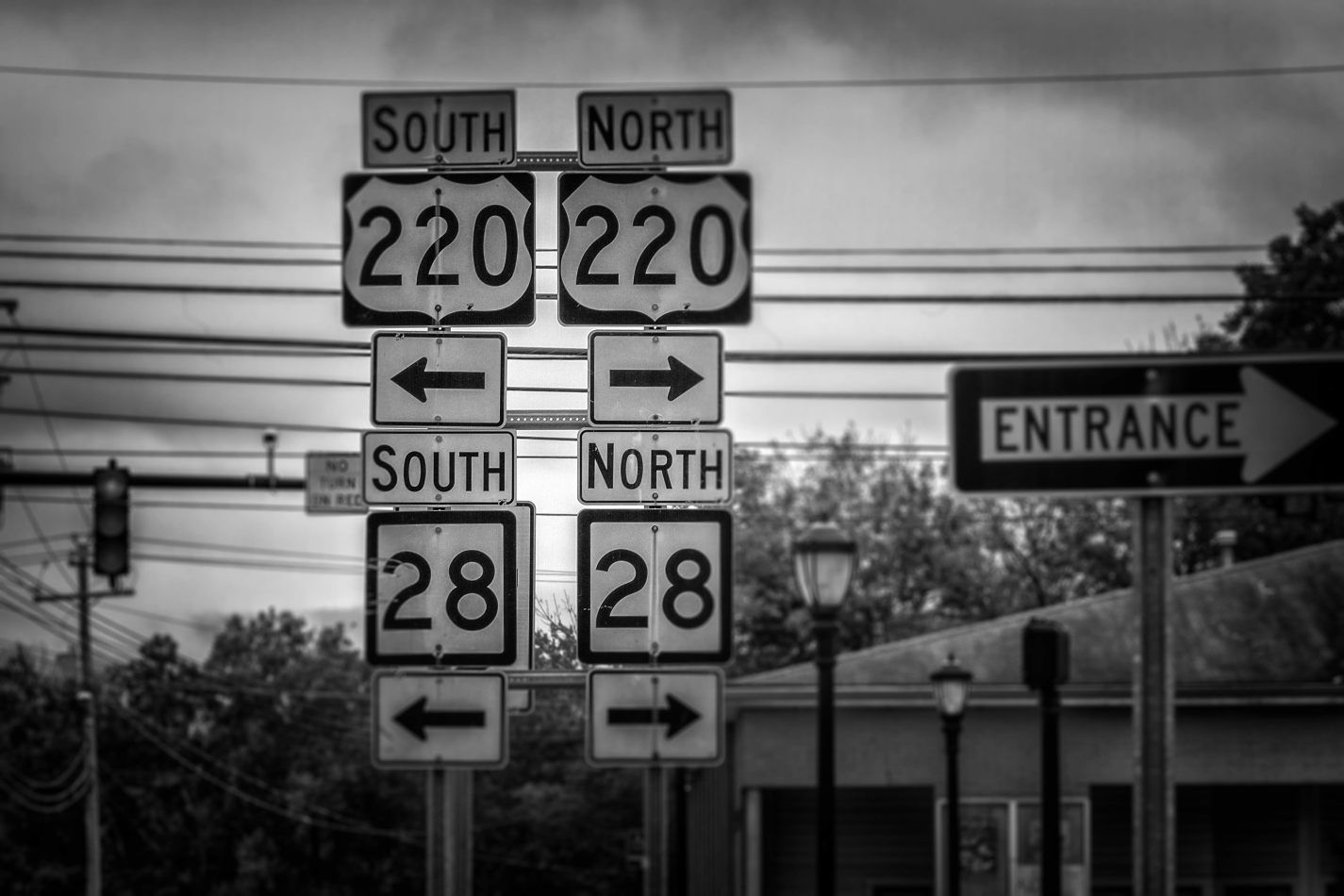 Storvandre: Virginia