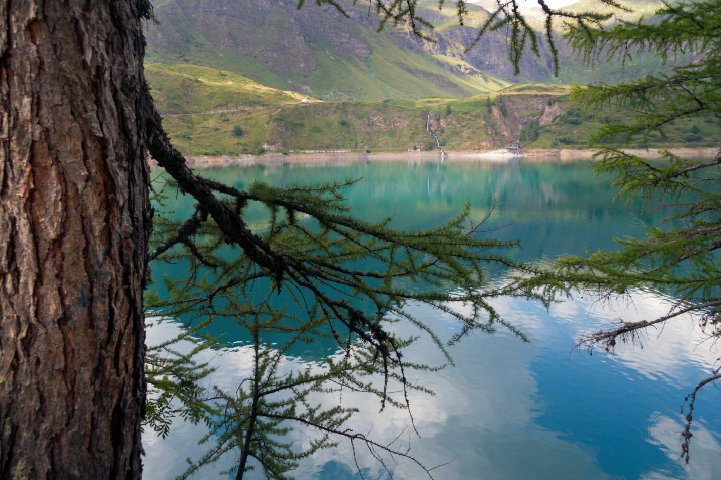 Storvandre: Ritom Lake