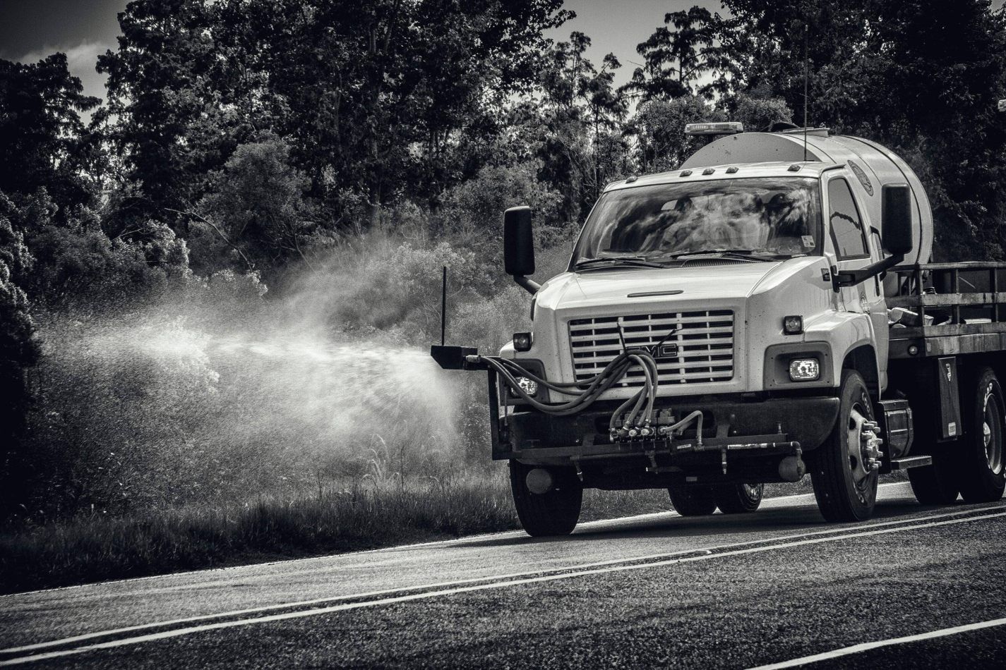 Storvandre: New Orleans