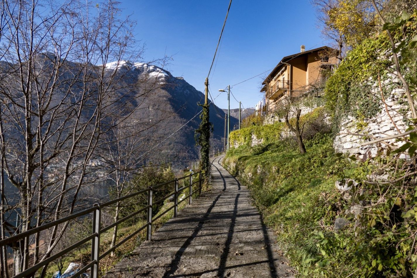 Storvandre: Pognana Lario