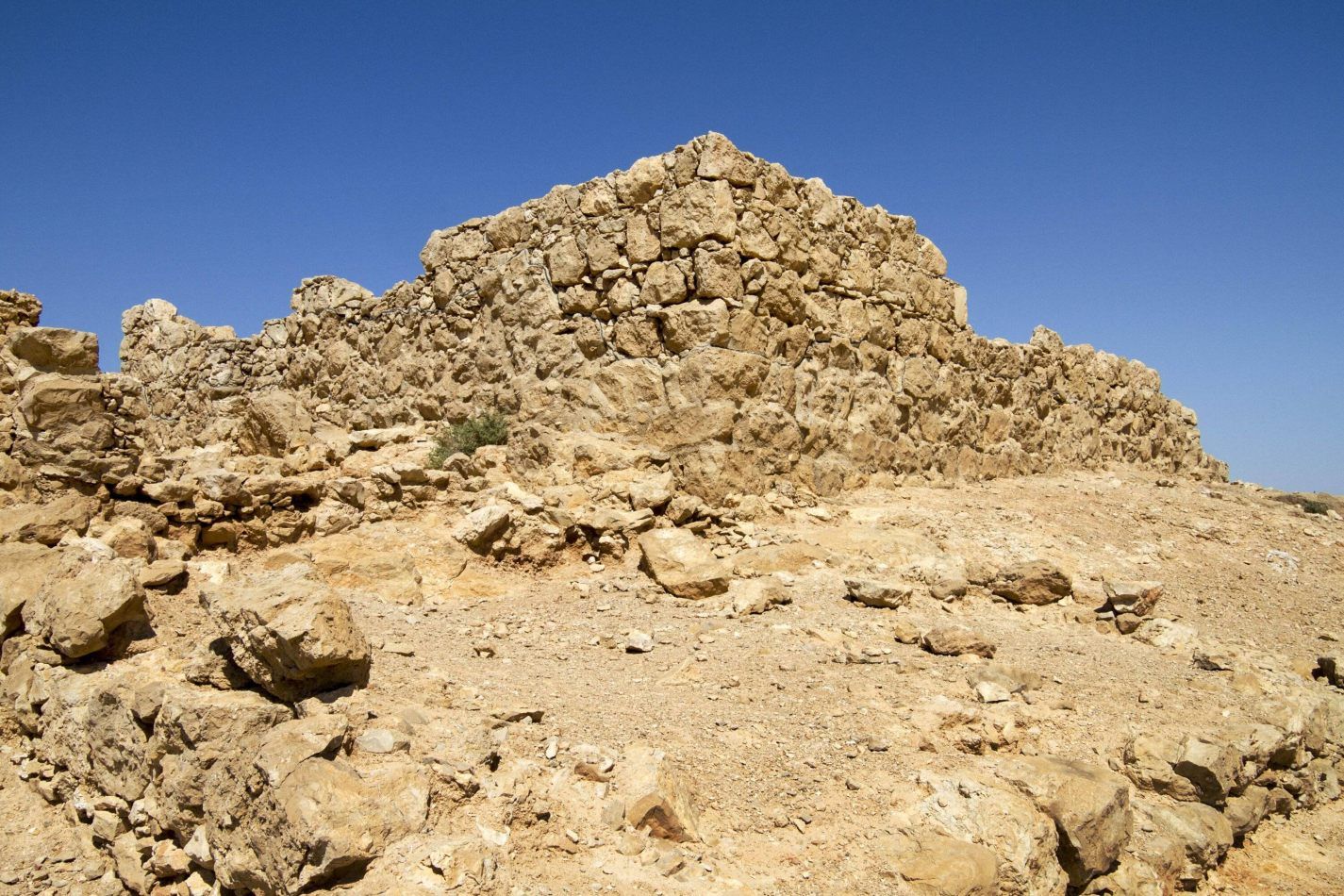 Storvandre: Masada