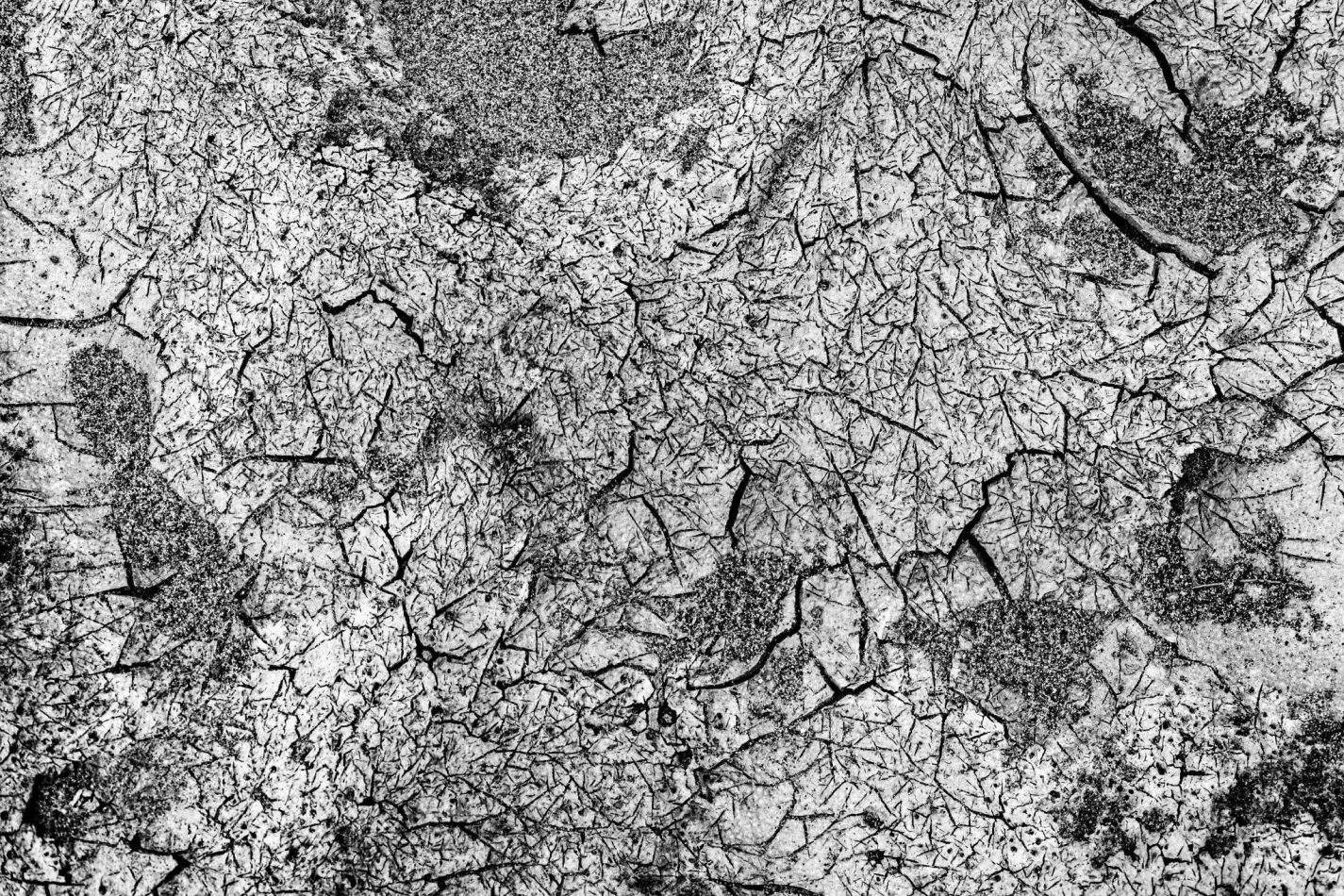 Storvandre: Golena del Po