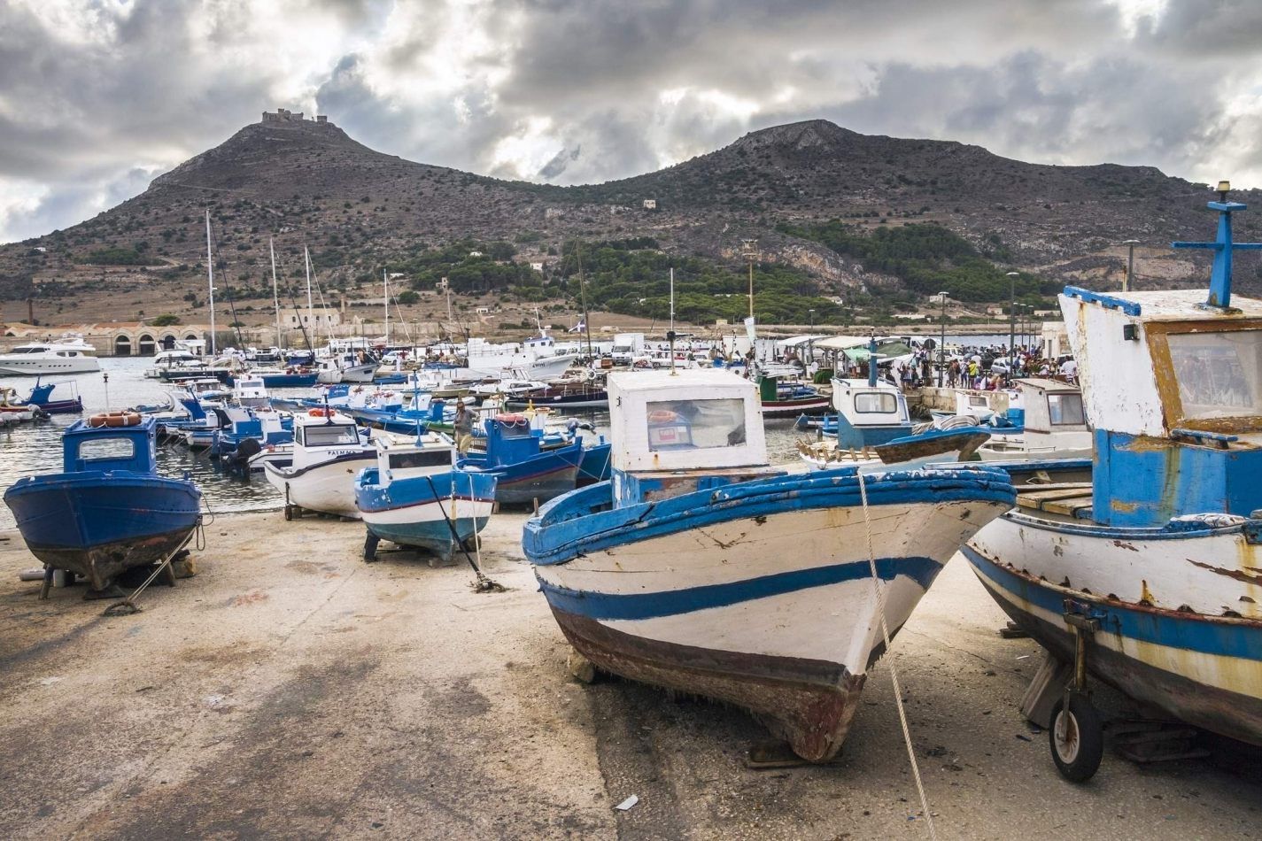 Storvandre: Favignana