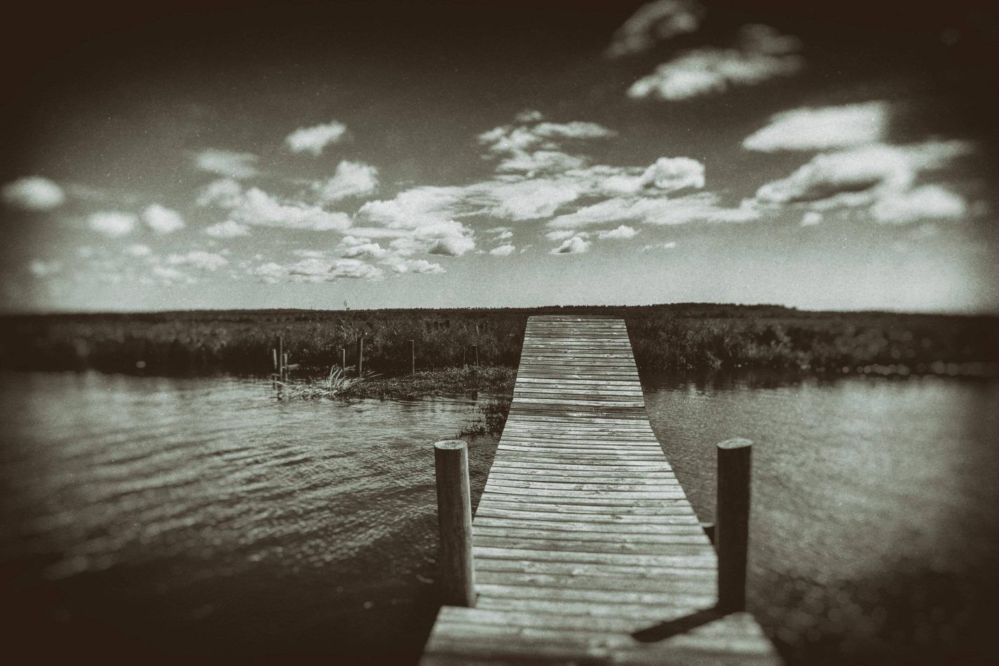 Storvandre: New Orleans