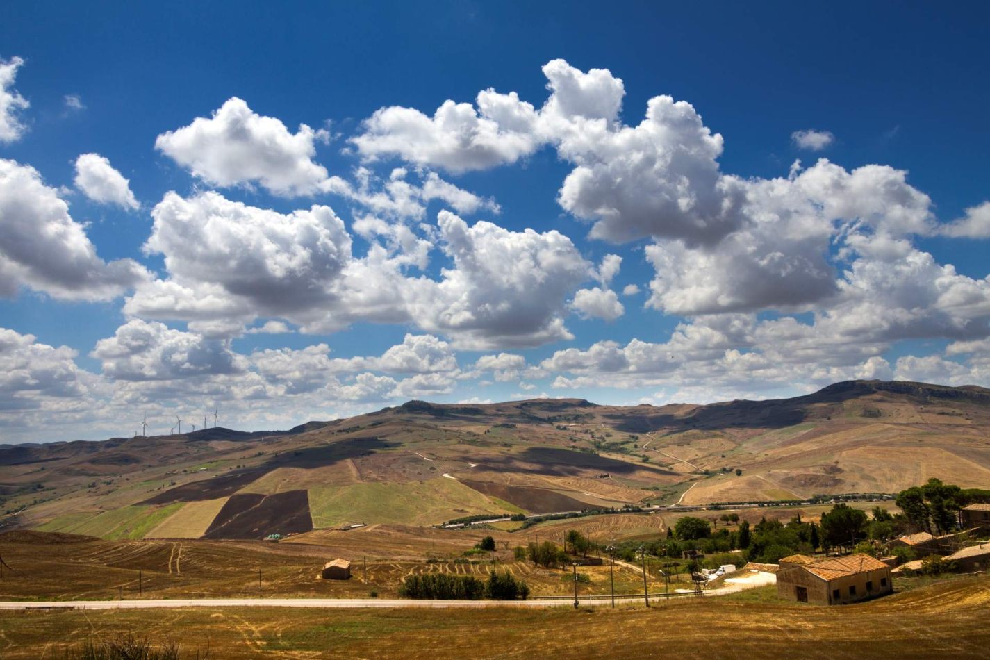 Storvandre: Petralia