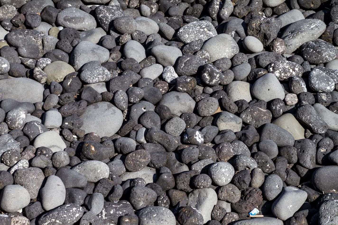 Storvandre: Aci Trezza