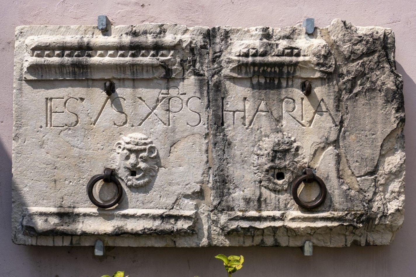 Storvandre: Pordenone