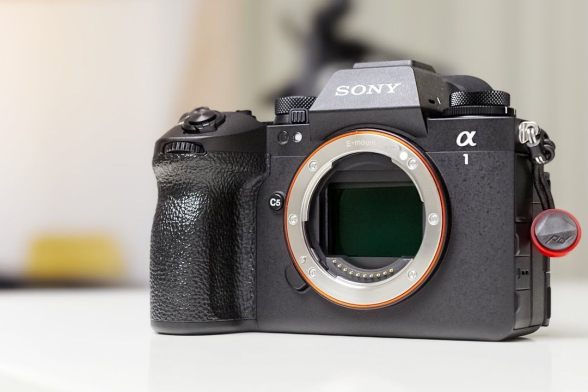 Sony Alpha 1 II   � It s not perfect  I m happy