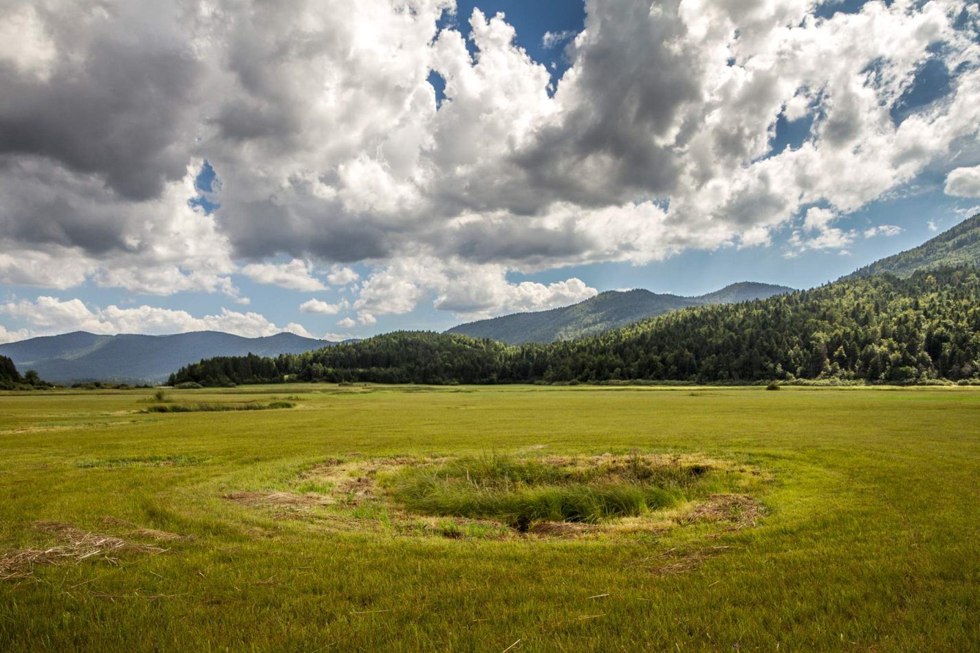 Storvandre: Cerkni� ko jezero