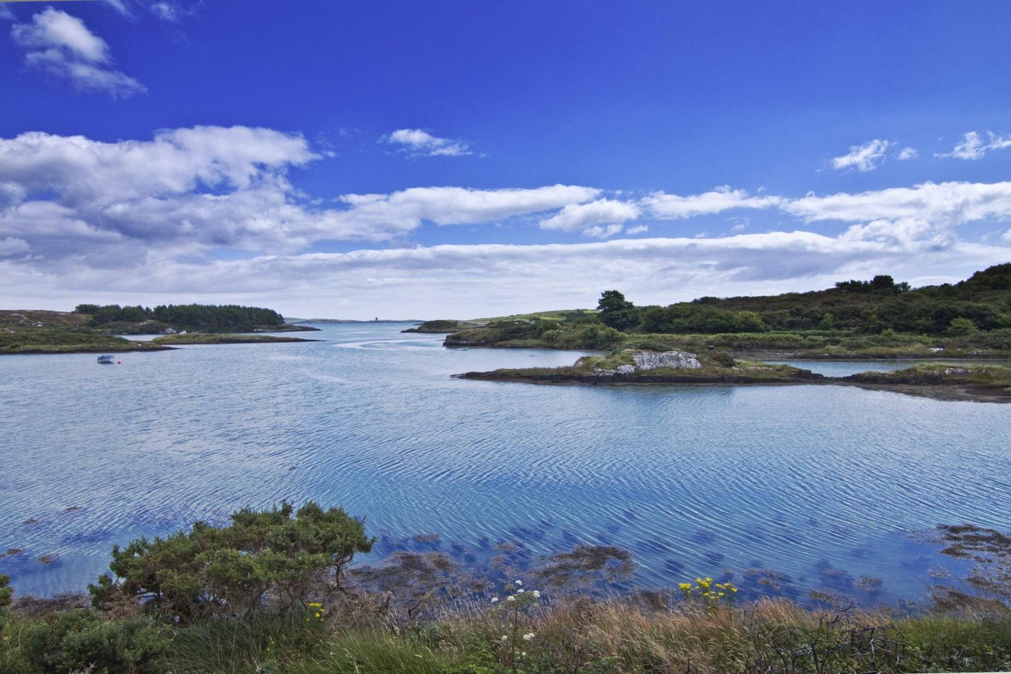 Storvandre: Mizen Head