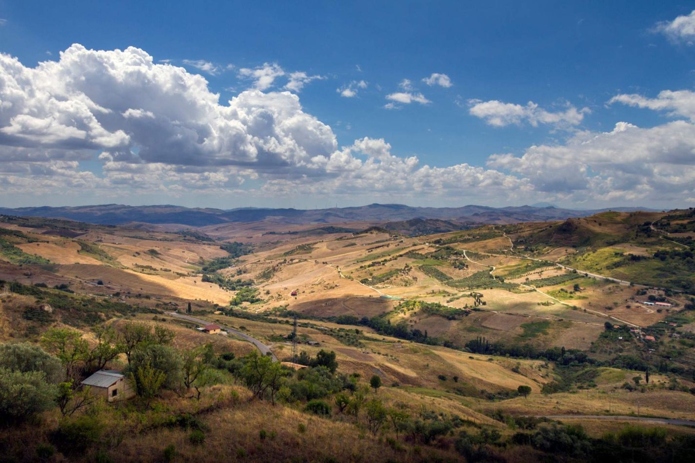 Storvandre: Petralia