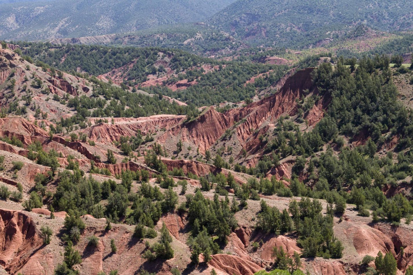 Storvandre: Tizi n Test Pass