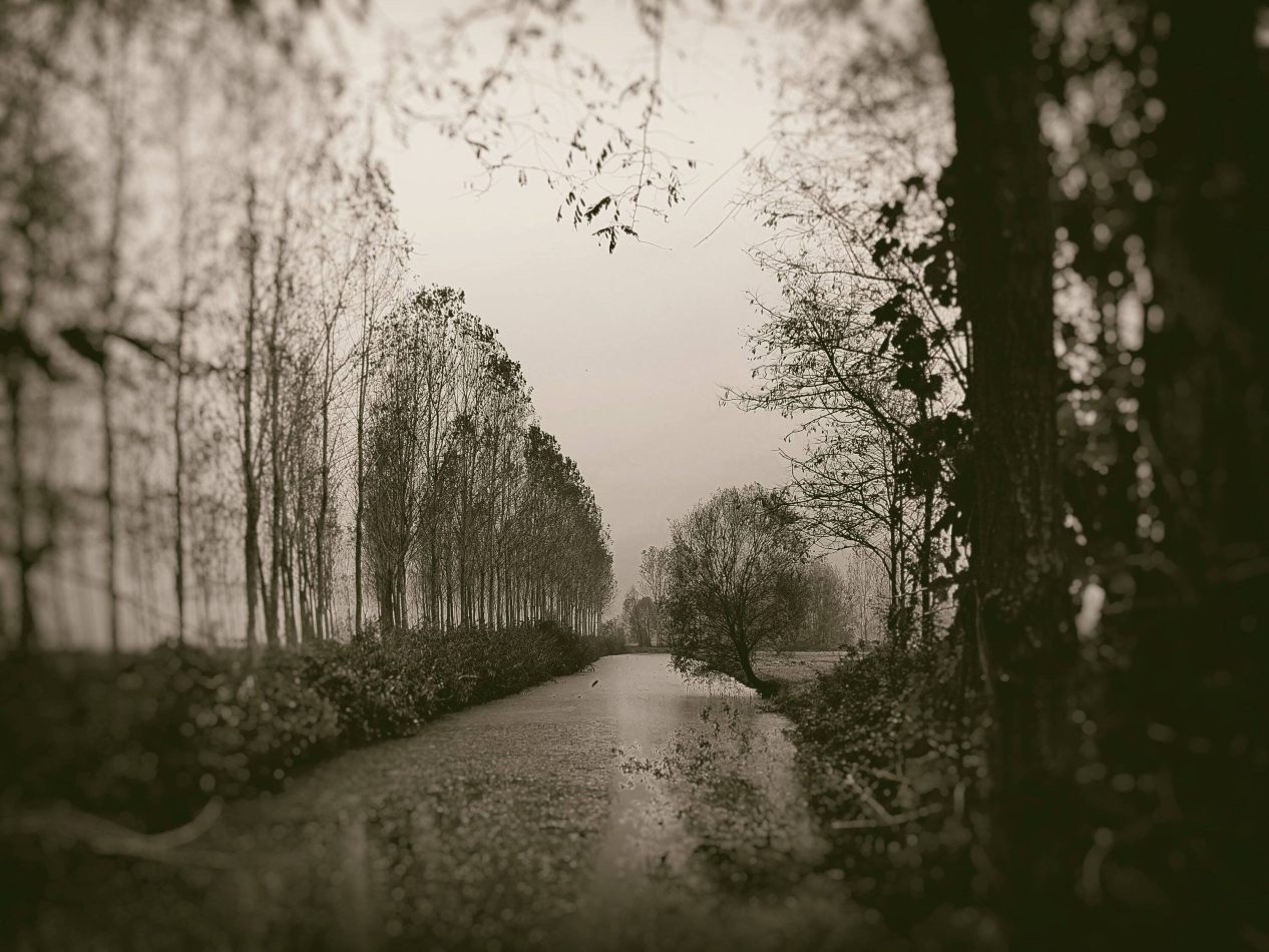 Storvandre: Villanova d Ardenghi