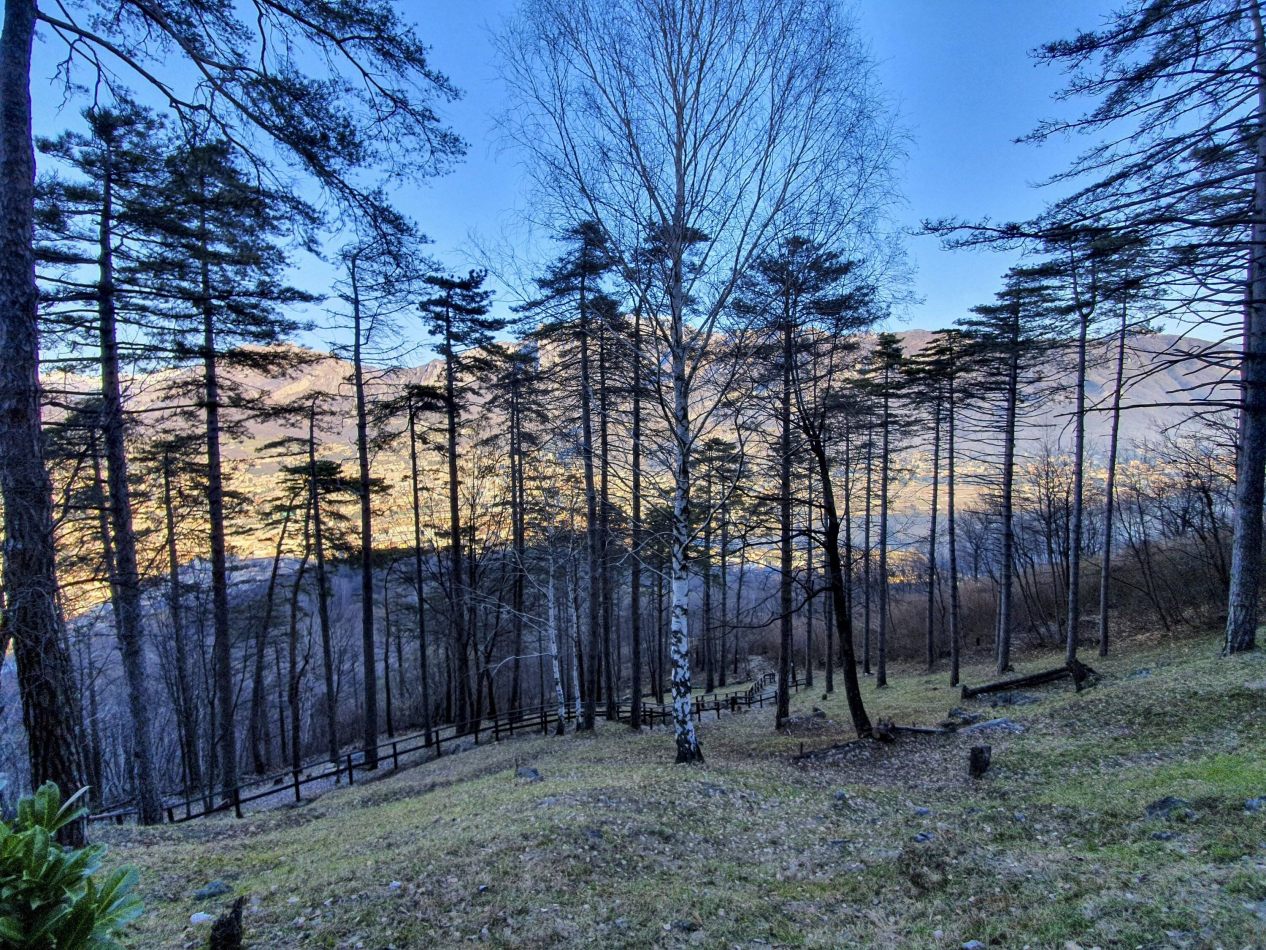 Storvandre: Monte Barro