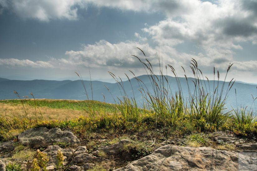 Bieszczady Mountains