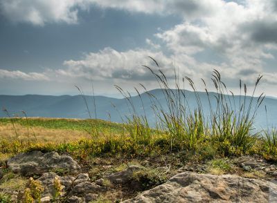 Bieszczady Mountains