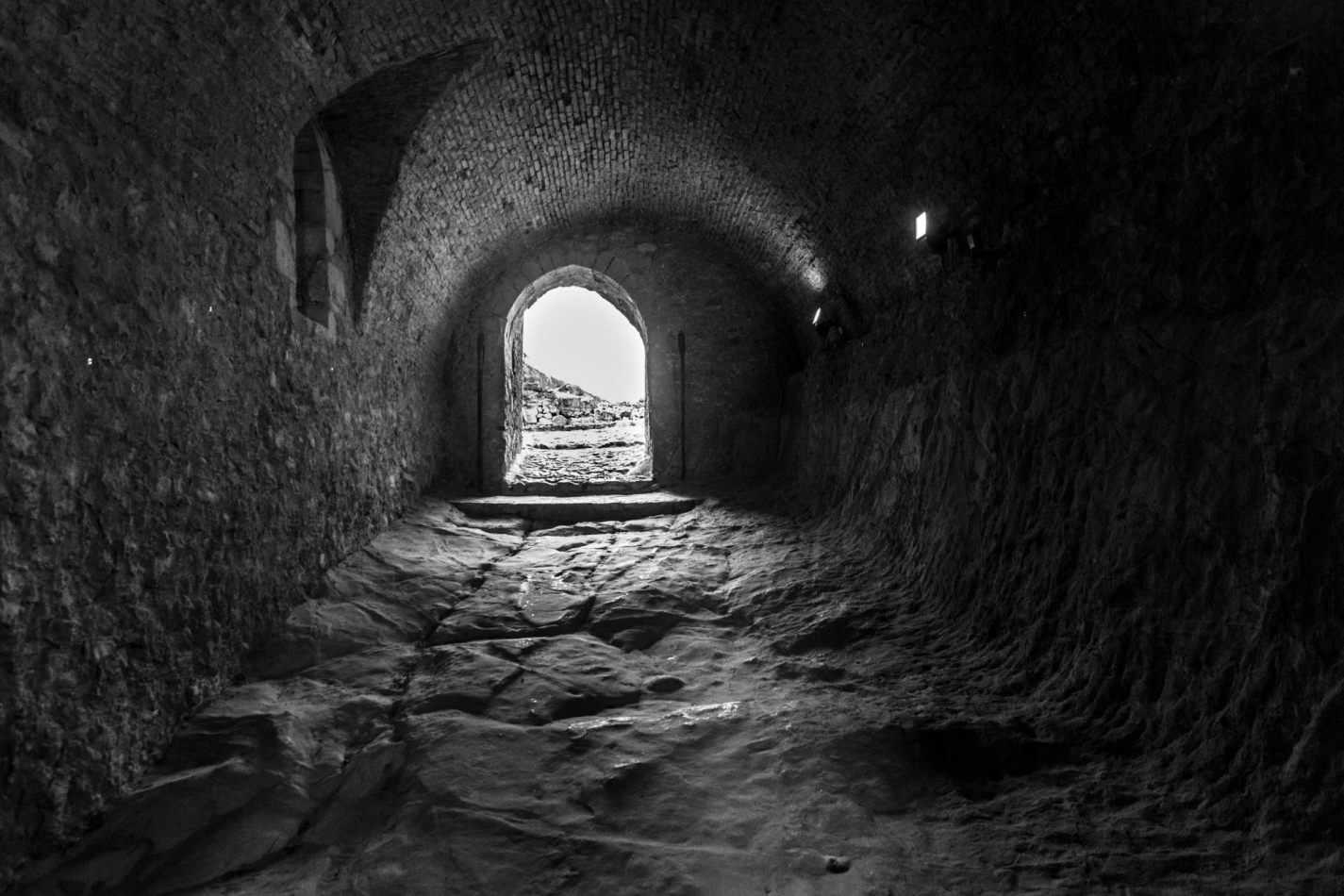 Storvandre: Sperlinga