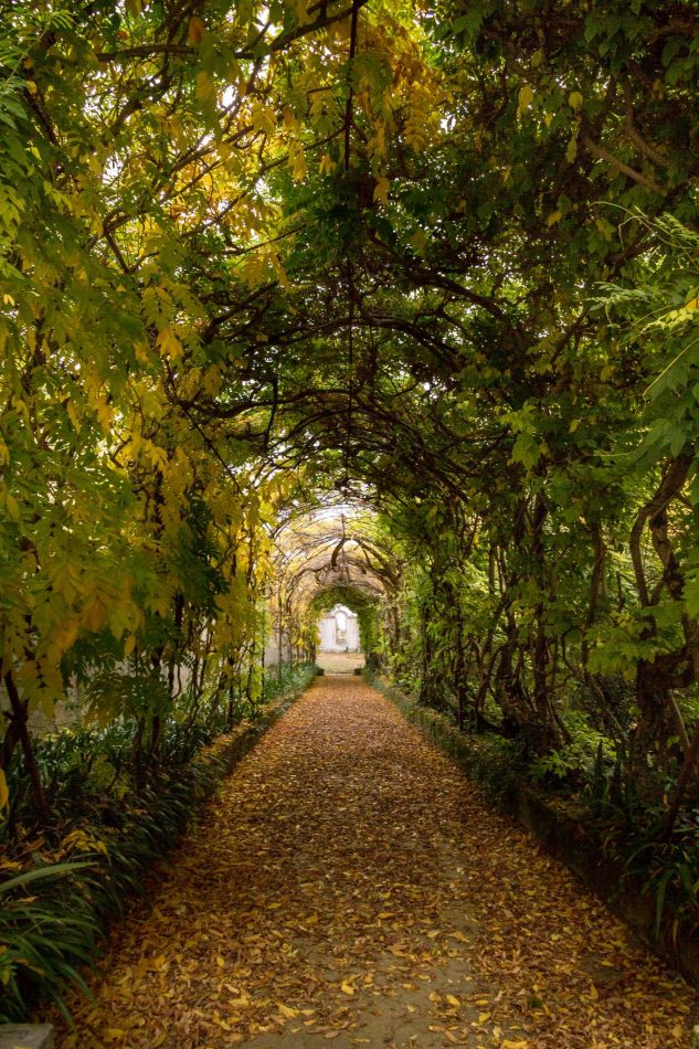 Storvandre: Villa Pisani