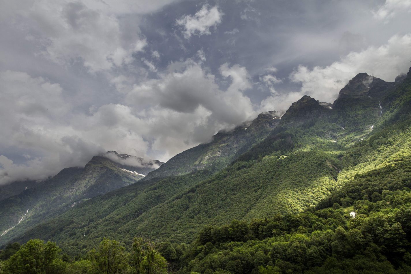 Storvandre: San Bernardino